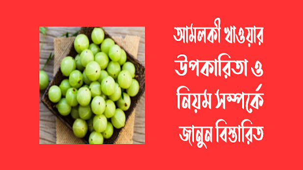 প্রতিদিন কাঁচা আমলকি খাওয়ার উপকারিতা কি